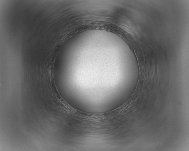 X0000071911013200607070939