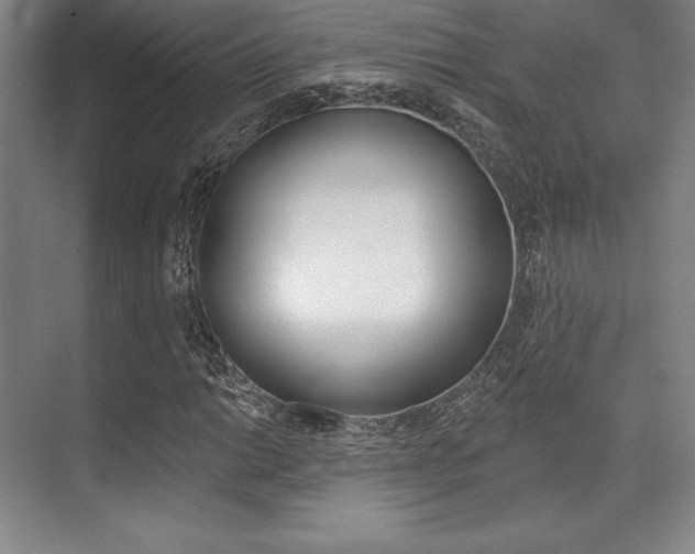 X0000071911014200607070939