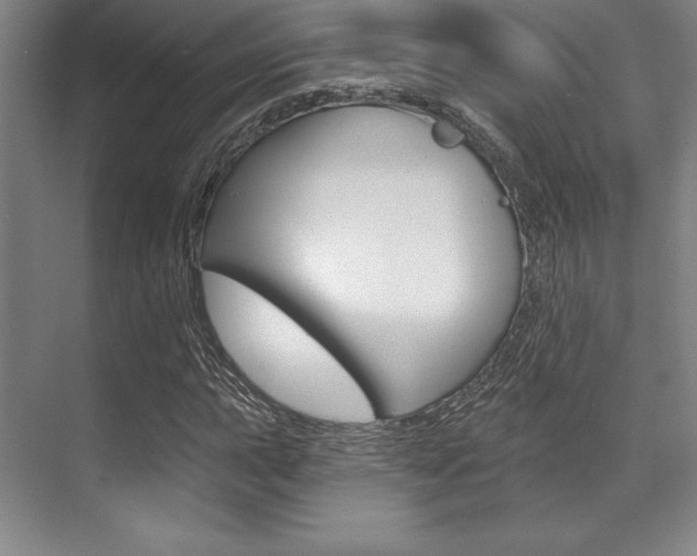 X0000071911015200607070939