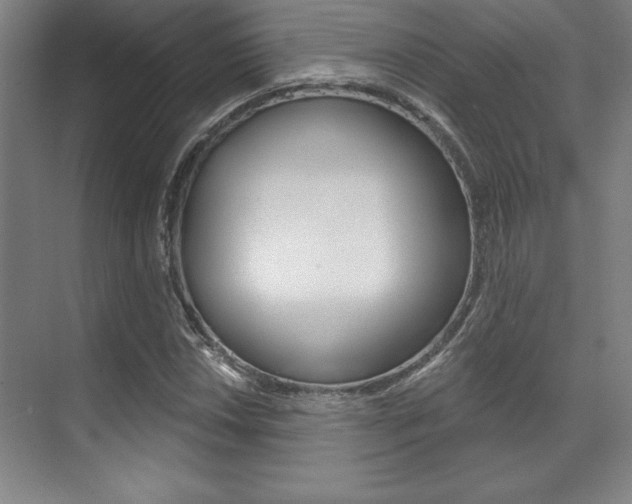 X0000071911018200607070939