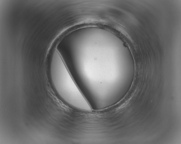X0000071911021200607070940