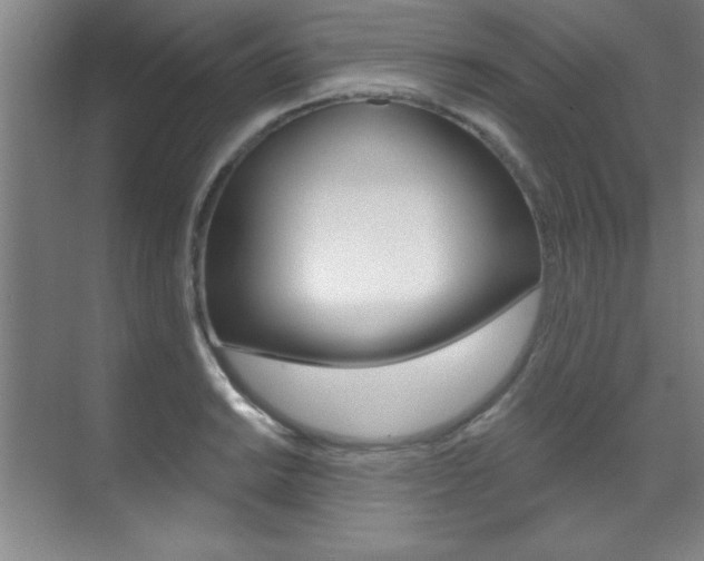 X0000071911038200607070940