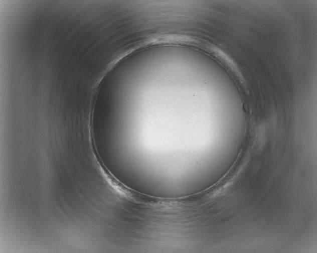 X0000071911041200607070940