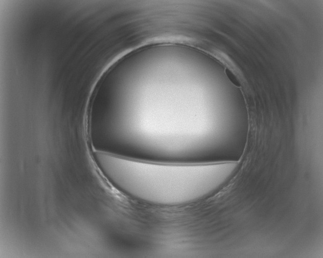 X0000071911044200607070940