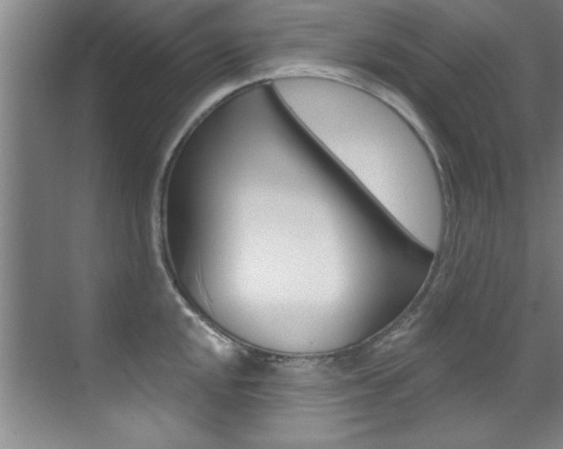 X0000071911048200607070940