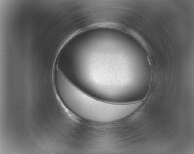 X0000071911050200607070940