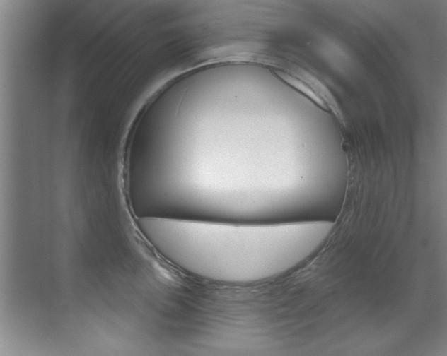 X0000071911051200607070940