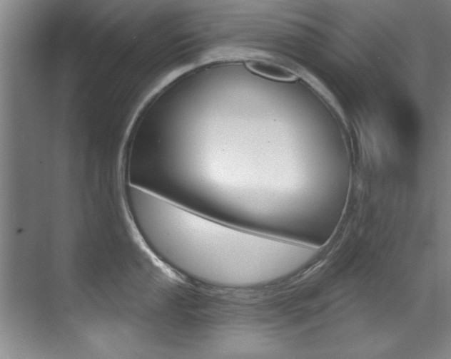 X0000071911053200607070940