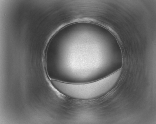 X0000071911054200607070940