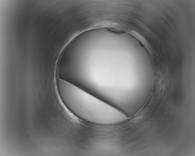 X0000071911055200607070940