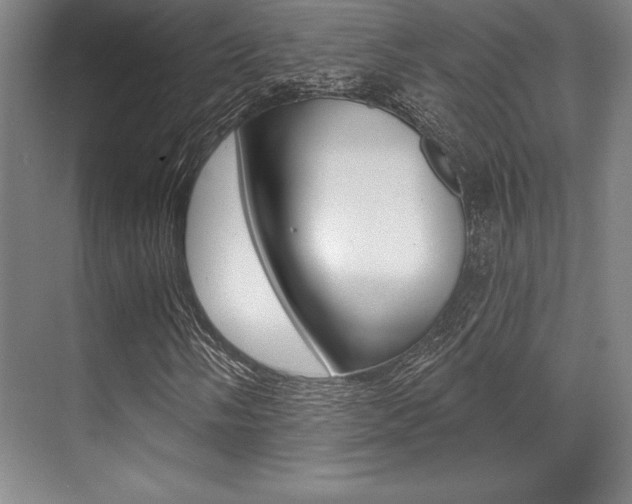 X0000071911058200607070939