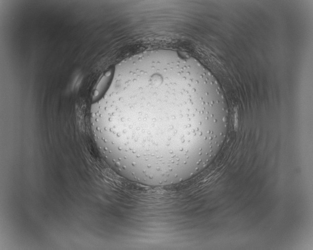 X0000071911059200607070939
