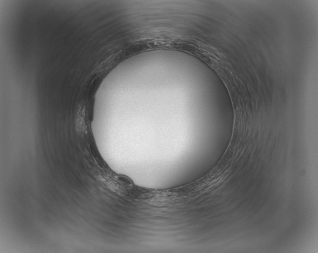 X0000071911060200607070939