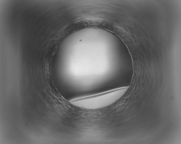X0000071911061200607070939