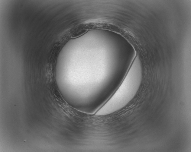 X0000071911062200607070939