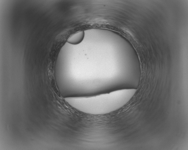 X0000071911063200607070939