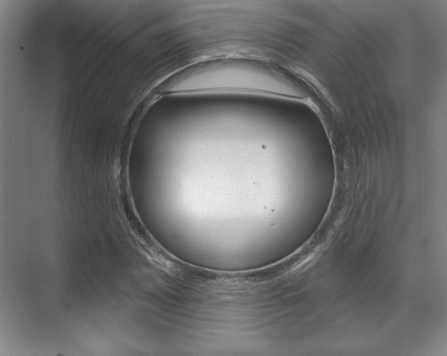 X0000071911065200607070939