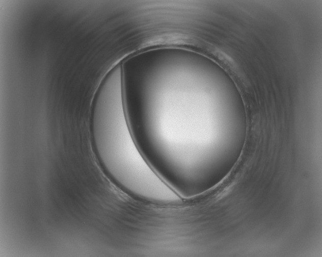 X0000071911081200607070939