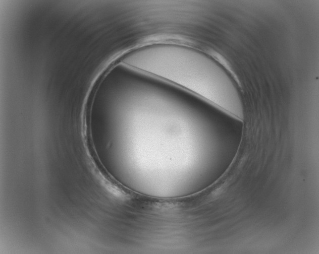X0000071911082200607070939