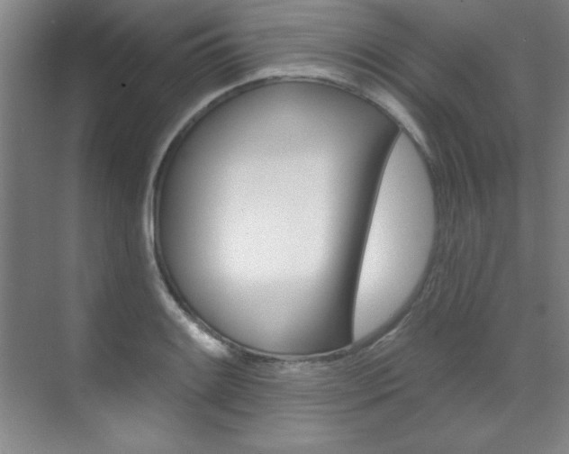 X0000071911084200607070939