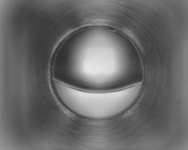X0000071911085200607070939
