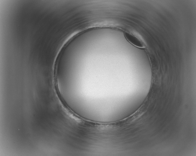 X0000071911087200607070939