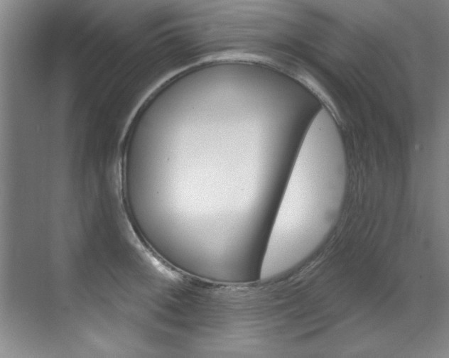 X0000071911092200607070939
