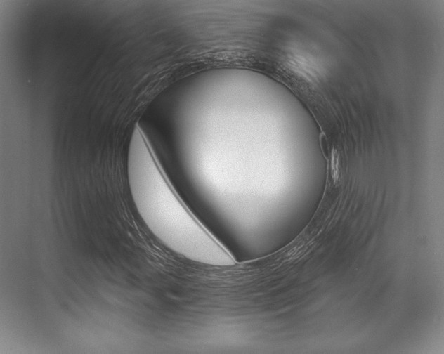 X0000071911107200607070938