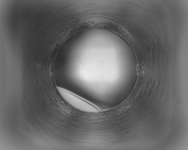 X0000071911108200607070938