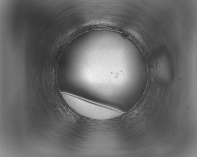 X0000071911111200607070938