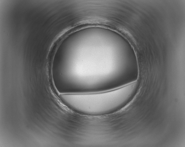 X0000071911114200607070938