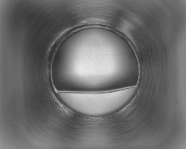 X0000071911115200607070938