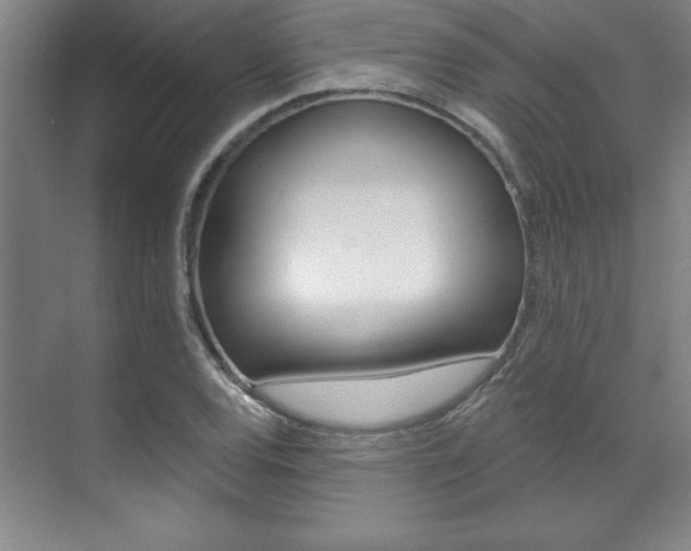 X0000071911120200607070938
