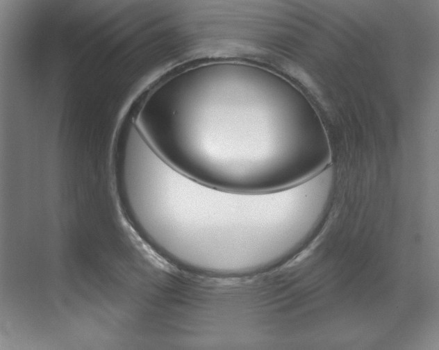 X0000071911122200607070938