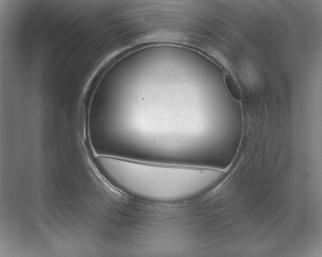 X0000071911123200607070938