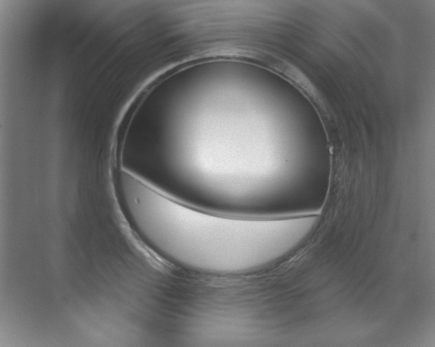 X0000071911132200607070938