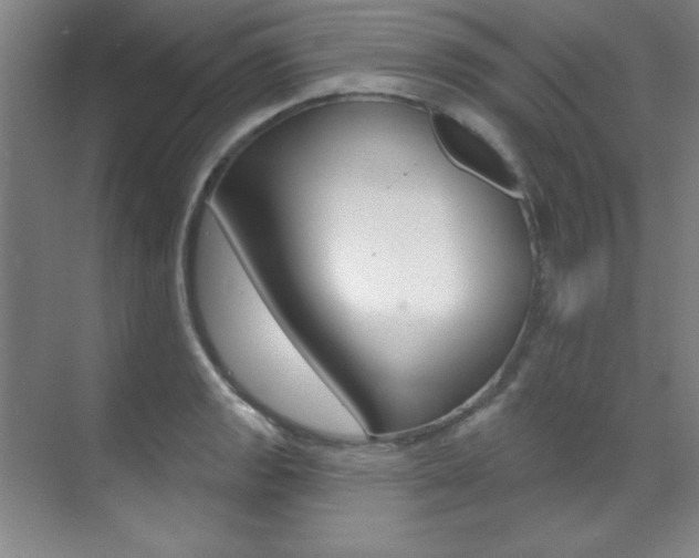 X0000071911133200607070938