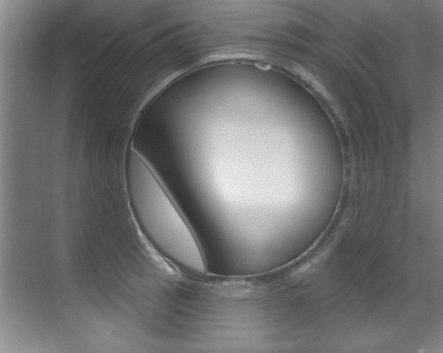 X0000071911137200607070938