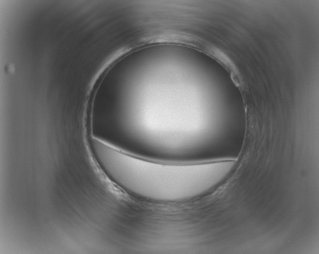 X0000071911138200607070938