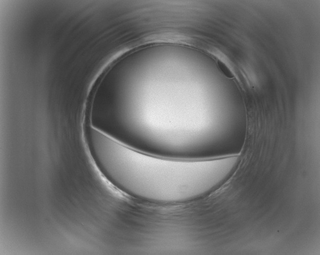 X0000071911139200607070938