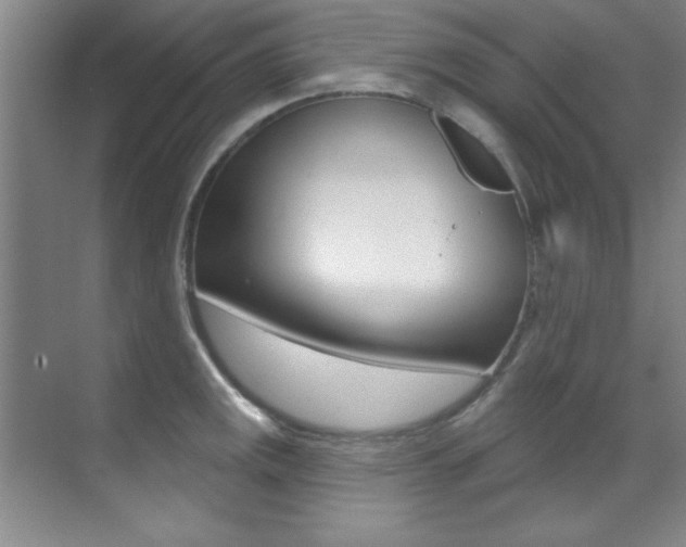 X0000071911141200607070938