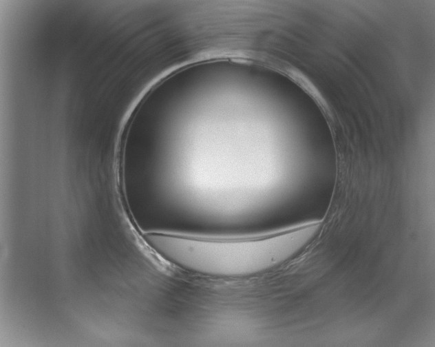 X0000071911148200607070938