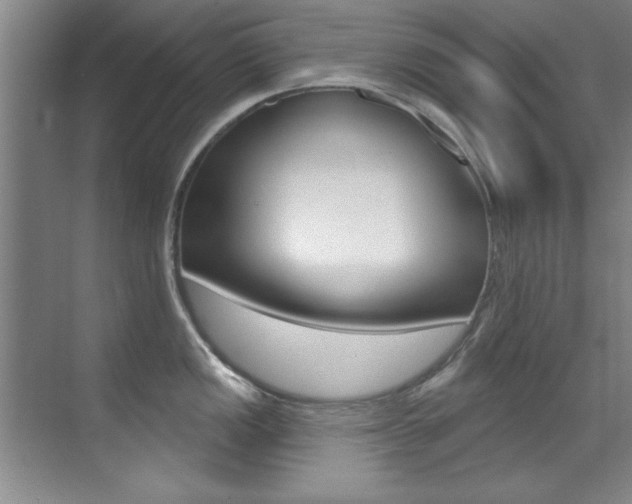 X0000071911149200607070938