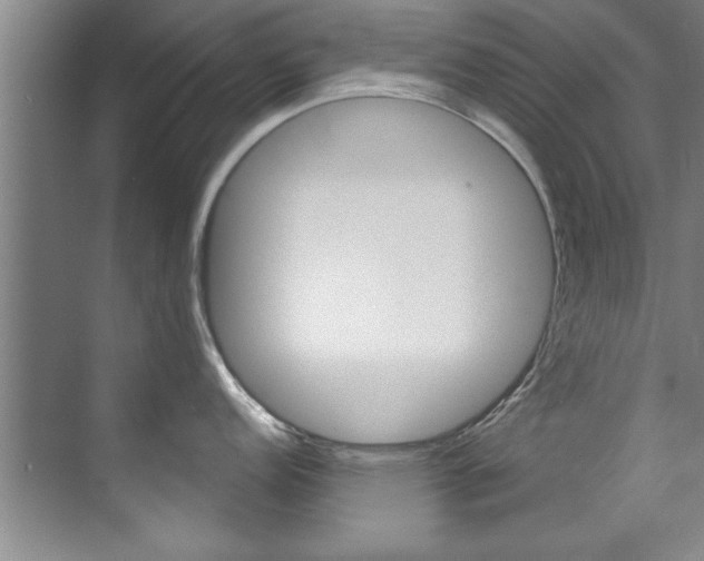 X0000071911152200607070938
