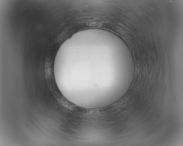 X0000071911154200607070938