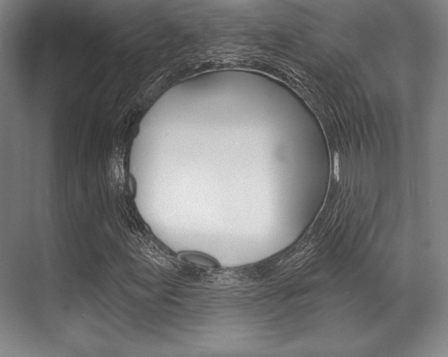 X0000071911155200607070938