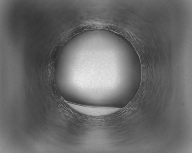 X0000071911157200607070938