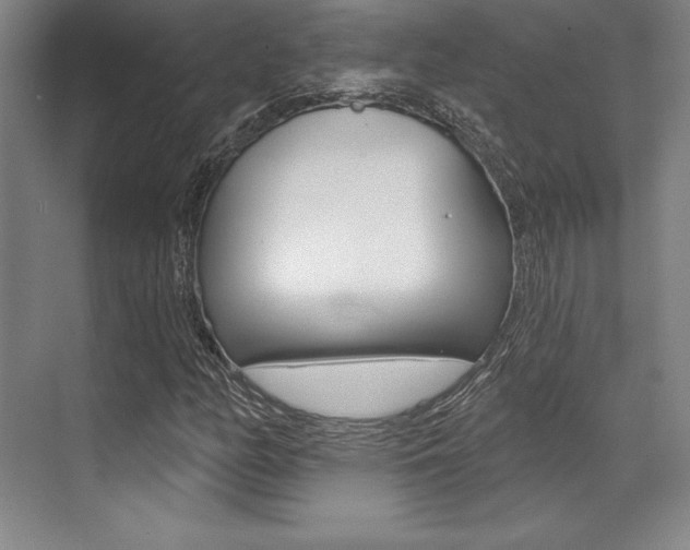 X0000071911158200607070938