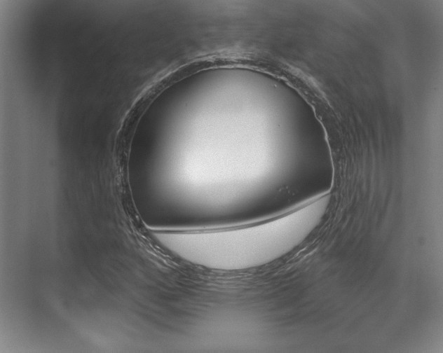 X0000071911160200607070938