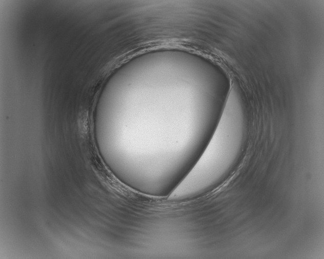 X0000071911161200607070938
